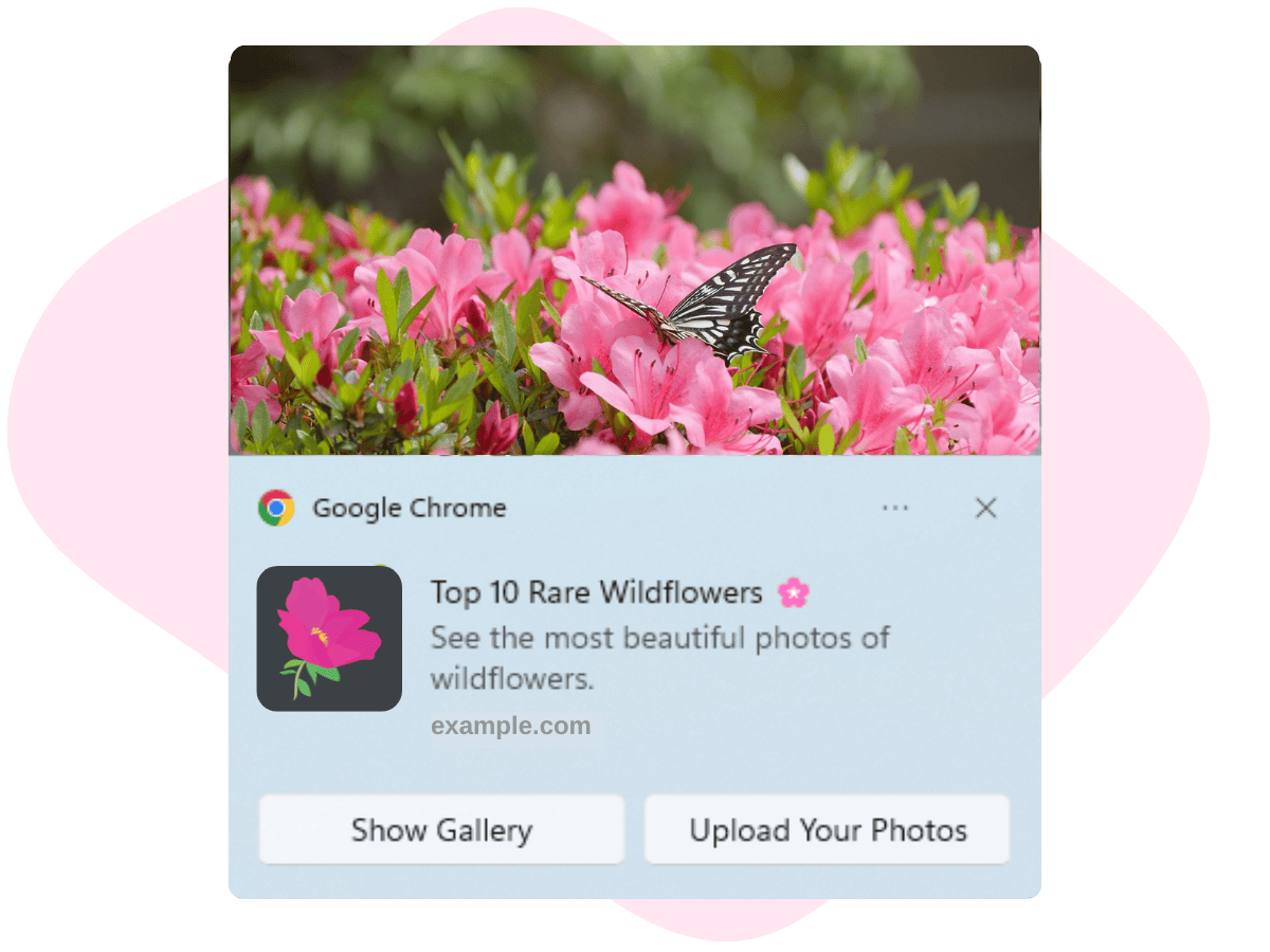 A web push notification with images and other features