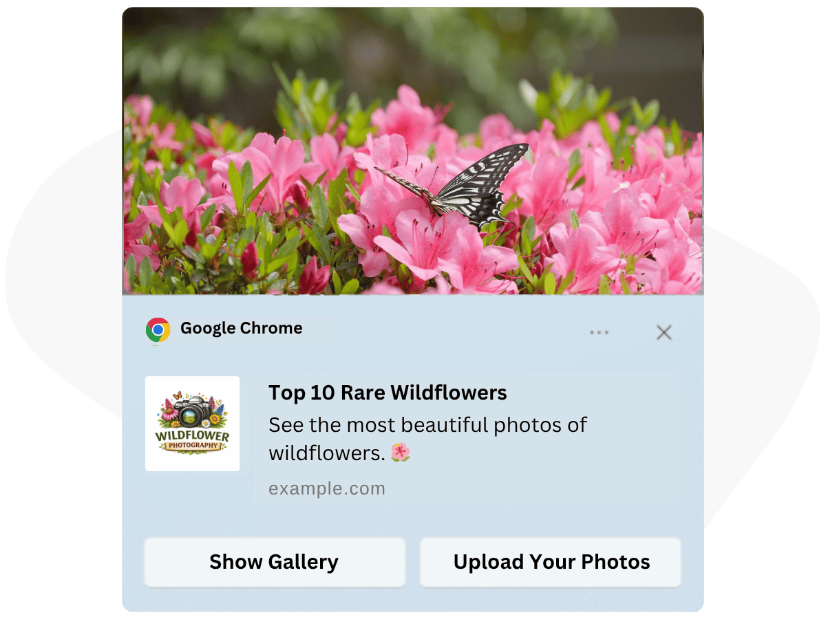 A web push notification with images and other features